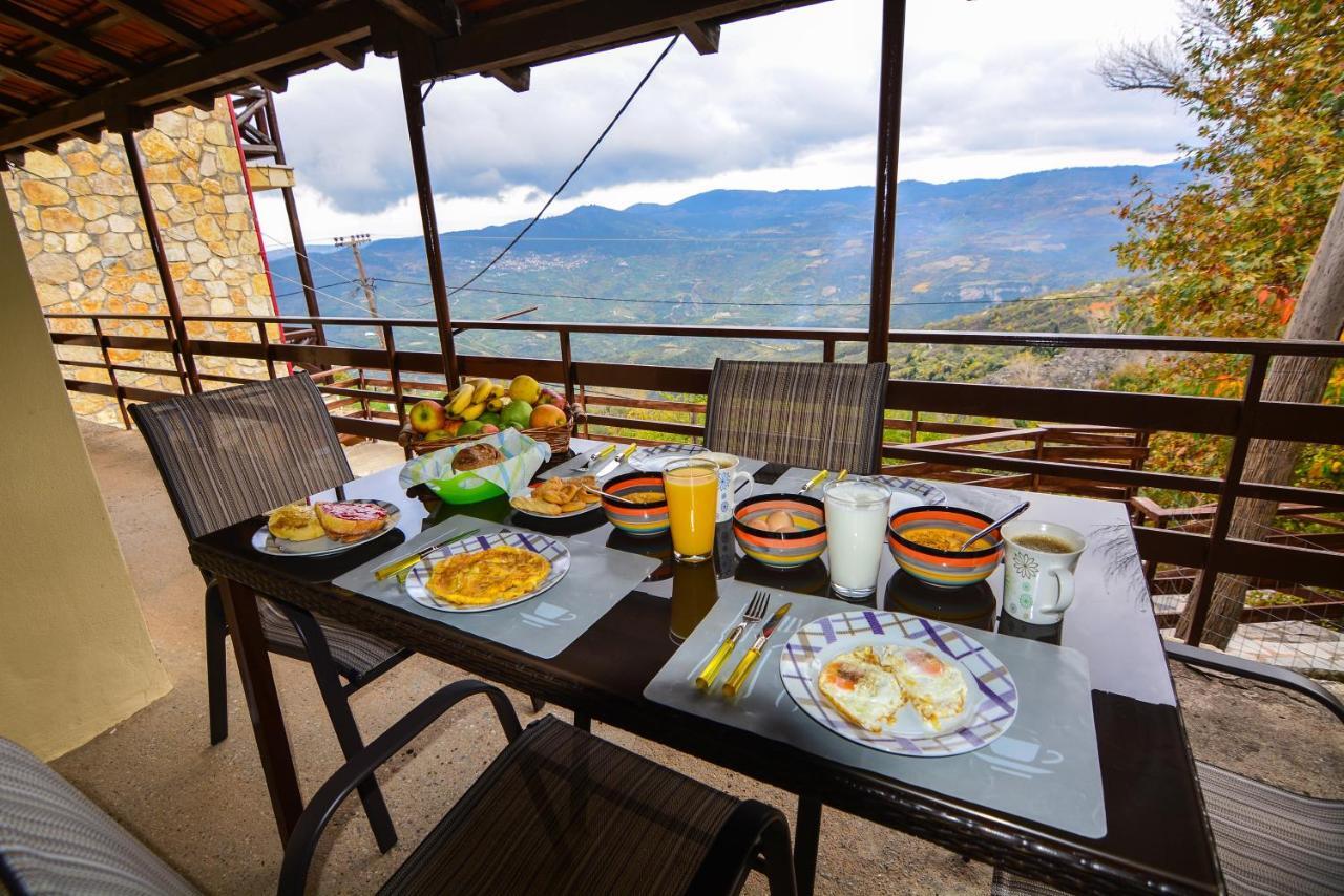 Tatil Evi The Theater Of Dreams