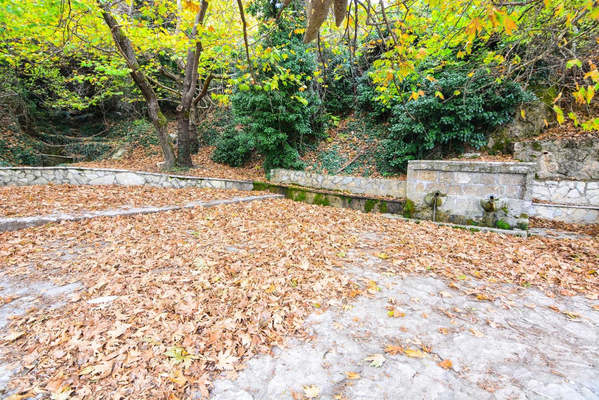 The Theater Of Dreams Tatil Evi Synikia Mesi Trikalon